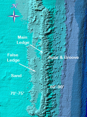 Dive With South Florida Diving Headquarters